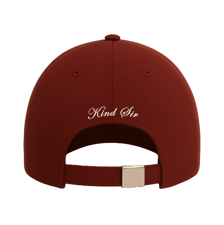 'Money To Take' Burgundy Hat